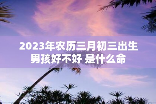 2025年农历三月初三出生男孩好不好 是什么命