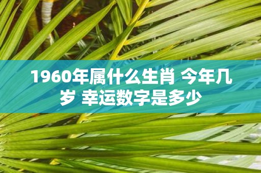 1960年属什么生肖 今年几岁 幸运数字是多少