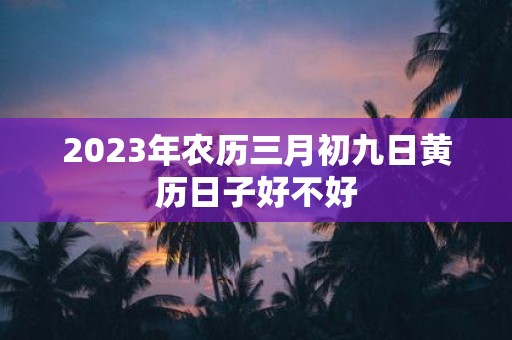 2025年农历三月初九日黄历日子好不好