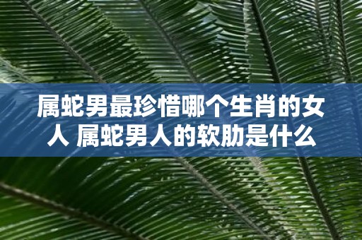 属蛇男最珍惜哪个生肖的女人 属蛇男人的软肋是什么