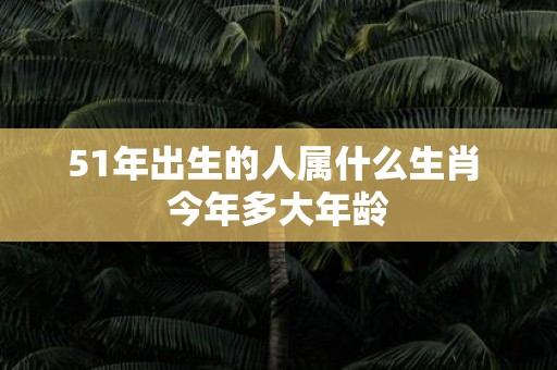 51年出生的人属什么生肖 今年多大年龄