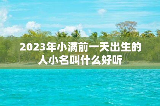 2025年小满前一天出生的人小名叫什么好听