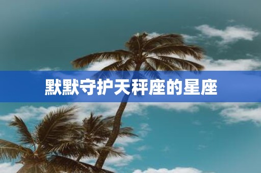 默默守护天秤座的星座
