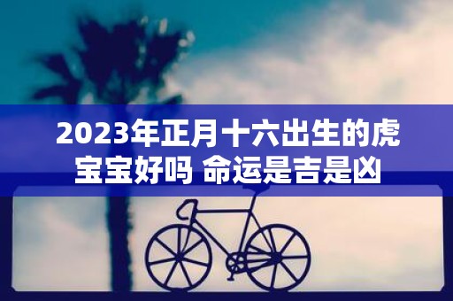 2025年正月十六出生的虎宝宝好吗 命运是吉是凶