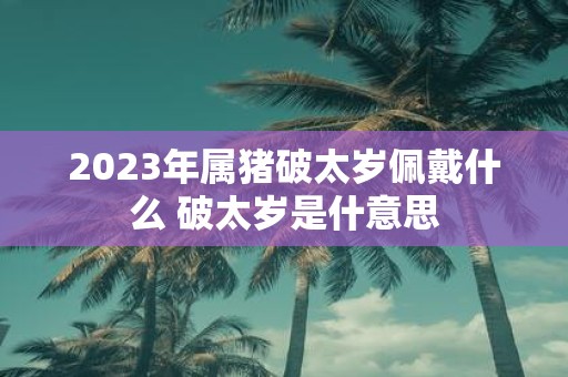 2025年属猪破太岁佩戴什么 破太岁是什意思