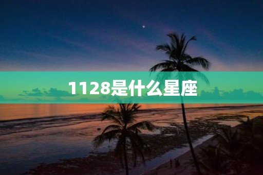 1128是什么星座