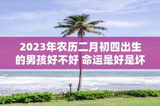 2025年农历二月初四出生的男孩好不好 命运是好是坏