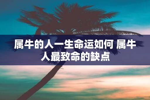 属牛的人一生命运如何 属牛人最致命的缺点