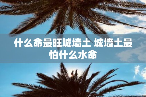 什么命最旺城墙土 城墙土最怕什么水命