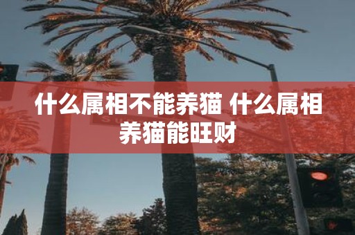 什么属相不能养猫 什么属相养猫能旺财