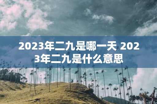 2025年二九是哪一天 2025年二九是什么意思