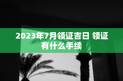 2025年7月领证吉日 领证有什么手续