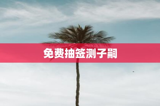 免费抽签测子嗣