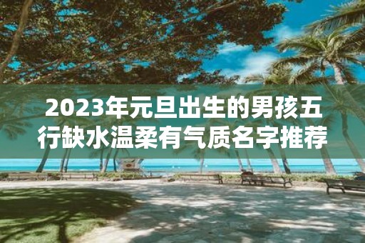 2025年元旦出生的男孩五行缺水温柔有气质名字推荐
