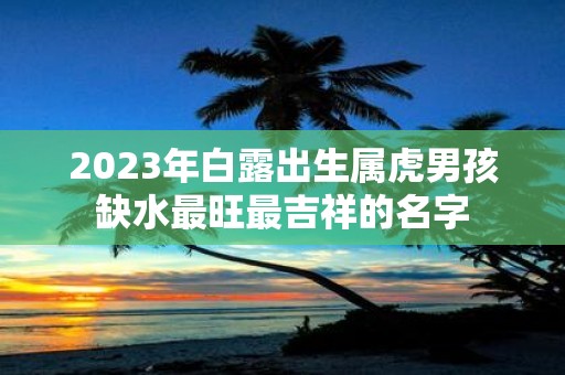 2025年白露出生属虎男孩缺水最旺最吉祥的名字