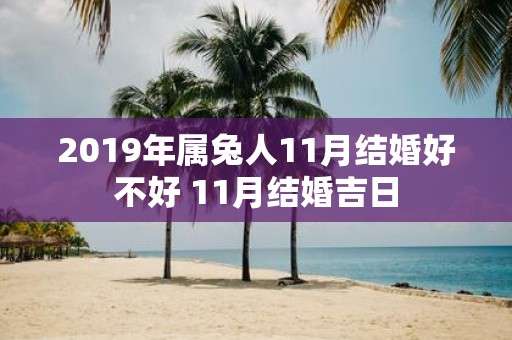 2019年属兔人11月结婚好不好 11月结婚吉日