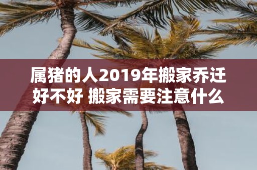 属猪的人2019年搬家乔迁好不好 搬家需要注意什么