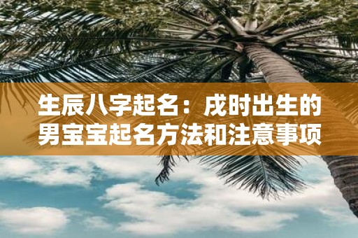 生辰八字起名：戌时出生的男宝宝起名方法和注意事项