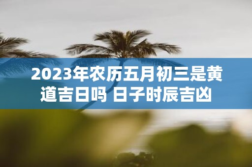 2025年农历五月初三是黄道吉日吗 日子时辰吉凶