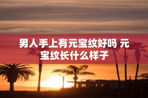 男人手上有元宝纹好吗 元宝纹长什么样子