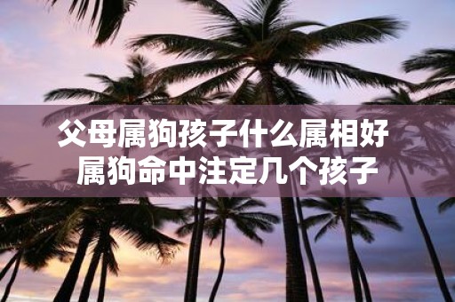 父母属狗孩子什么属相好 属狗命中注定几个孩子