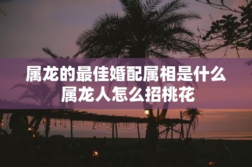 属龙的最佳婚配属相是什么 属龙人怎么招桃花