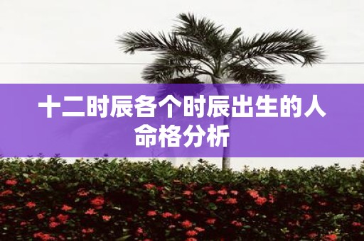 十二时辰各个时辰出生的人命格分析
