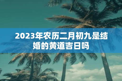 2025年农历二月初九是结婚的黄道吉日吗