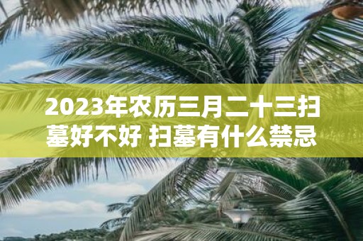 2025年农历三月二十三扫墓好不好 扫墓有什么禁忌吗