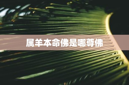 属羊本命佛是哪尊佛