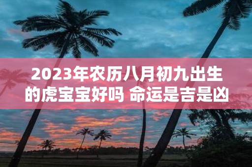 2025年农历八月初九出生的虎宝宝好吗 命运是吉是凶