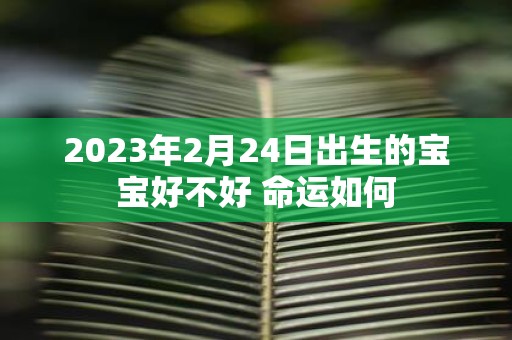 2025年2月24日出生的宝宝好不好 命运如何