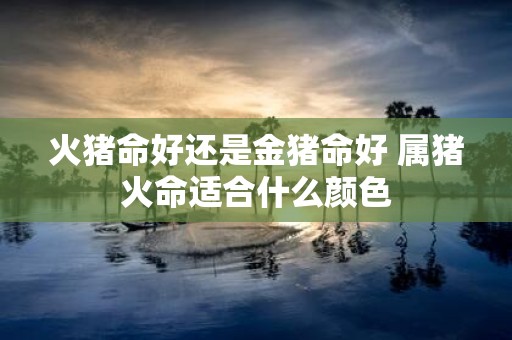 火猪命好还是金猪命好 属猪火命适合什么颜色