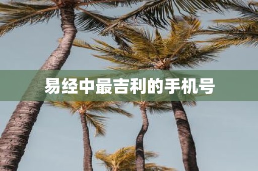 易经中最吉利的手机号