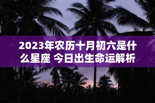 2025年农历十月初六是什么星座 今日出生命运解析