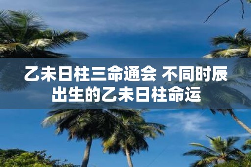 乙未日柱三命通会 不同时辰出生的乙未日柱命运