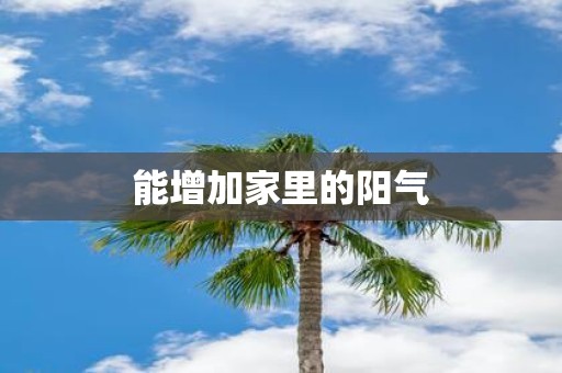 能增加家里的阳气