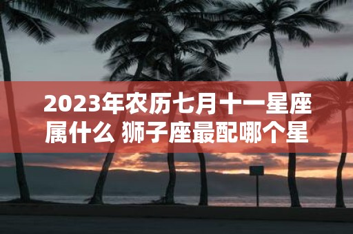 2025年农历七月十一星座属什么 狮子座最配哪个星座