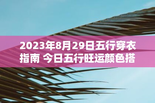 2025年8月29日五行穿衣指南 今日五行旺运颜色搭配