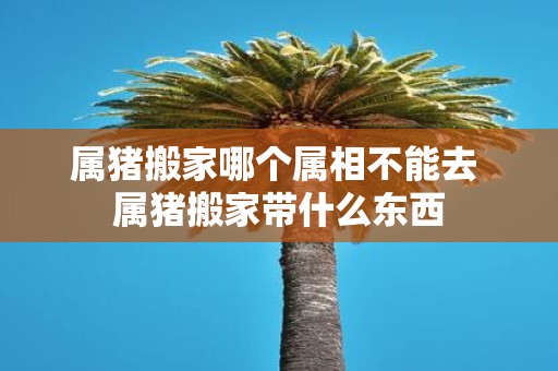 属猪搬家哪个属相不能去 属猪搬家带什么东西