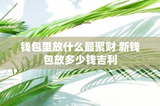 钱包里放什么最聚财 新钱包放多少钱吉利