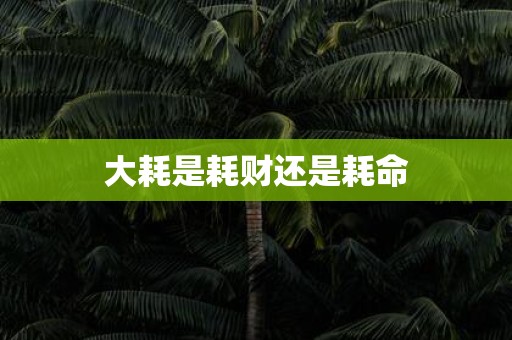 大耗是耗财还是耗命