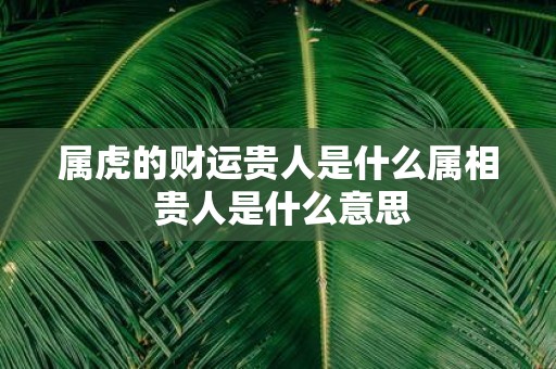 属虎的财运贵人是什么属相 贵人是什么意思