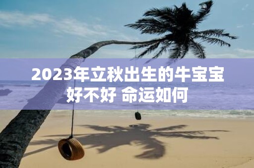 2025年立秋出生的牛宝宝好不好 命运如何