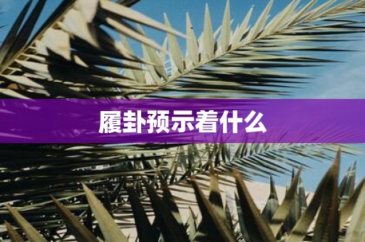 履卦预示着什么