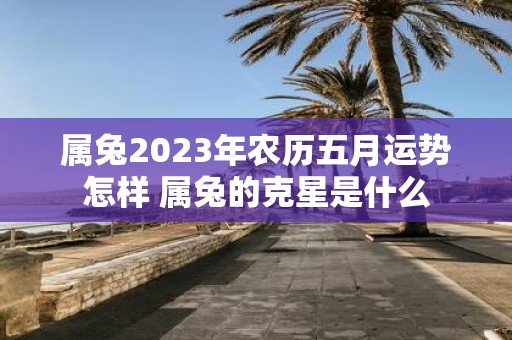 属兔2025年农历五月运势怎样 属兔的克星是什么