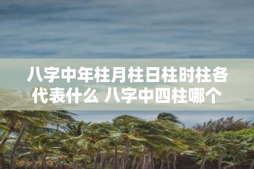 八字中年柱月柱日柱时柱各代表什么 八字中四柱哪个最重要