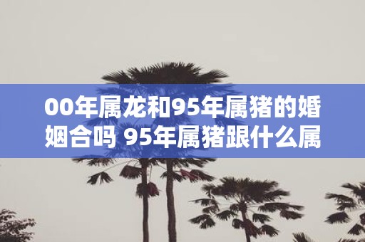 00年属龙和95年属猪的婚姻合吗 95年属猪跟什么属相配