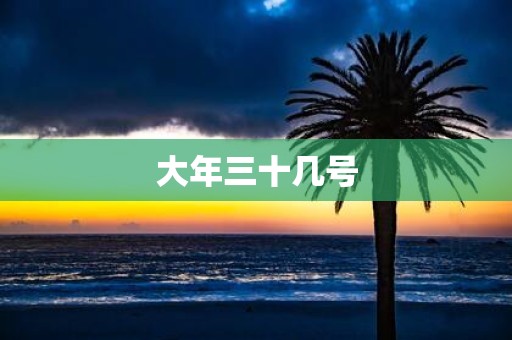 大年三十几号