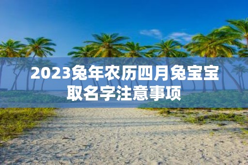 2025蛇年农历四月兔宝宝取名字注意事项